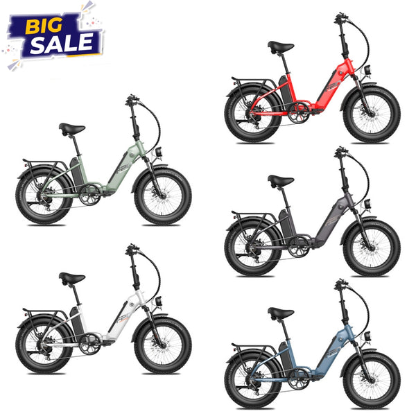 Ebike Paket - Fafrees FF20 Polar  (2-pack)