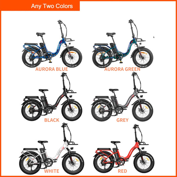 Ebike Paket - Fafrees F20 MAX  (2-pack)