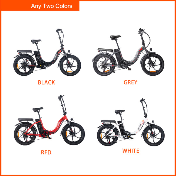 Ebike Paket - Fafrees F20 (2 paket)