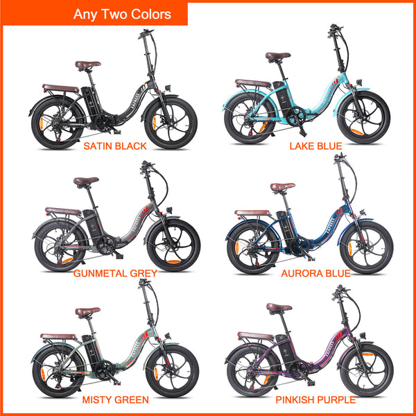 Ebike Paket - Fafrees F20 Pro  (2-pack) - fafreesebike